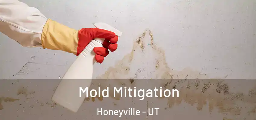  Mold Mitigation Honeyville - UT