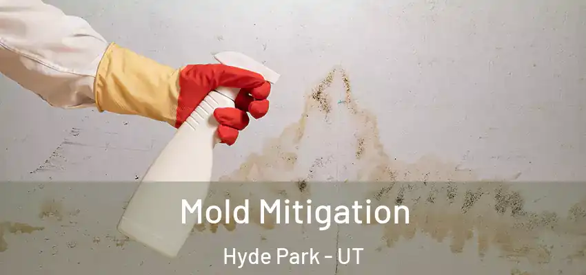  Mold Mitigation Hyde Park - UT