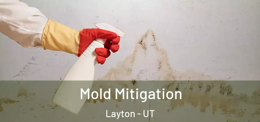  Mold Mitigation Layton - UT