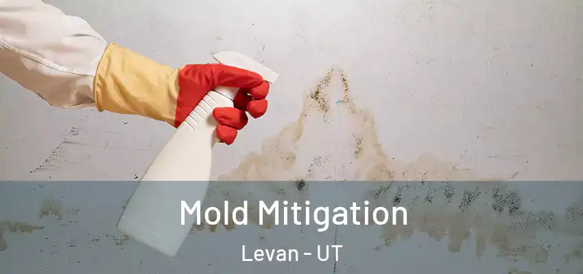 Mold Mitigation Levan - UT