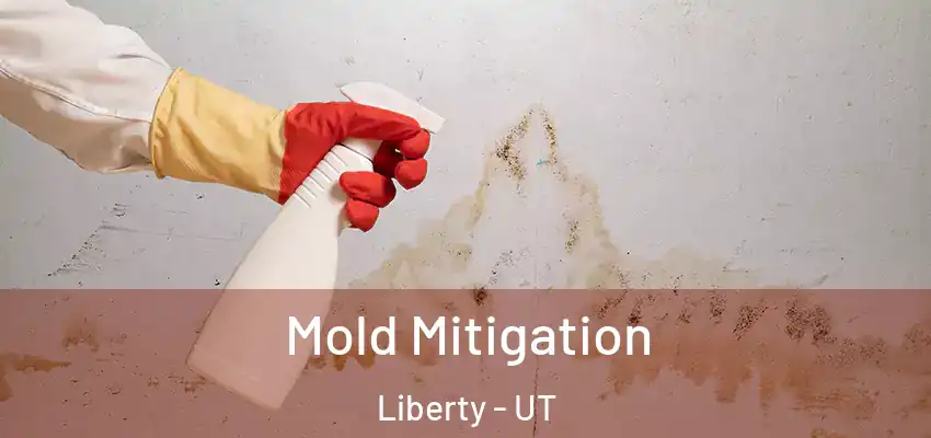  Mold Mitigation Liberty - UT