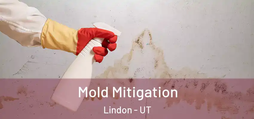 Mold Mitigation Lindon - UT