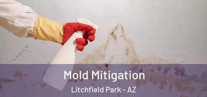 Mold Mitigation Litchfield Park - AZ