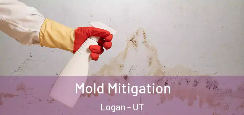  Mold Mitigation Logan - UT