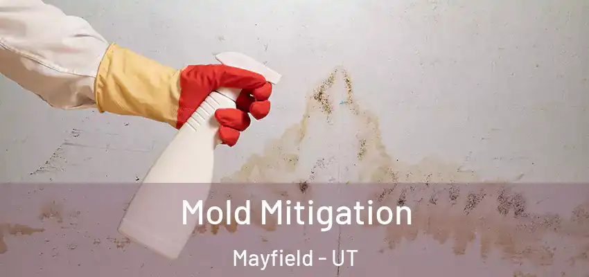 Mold Mitigation Mayfield - UT