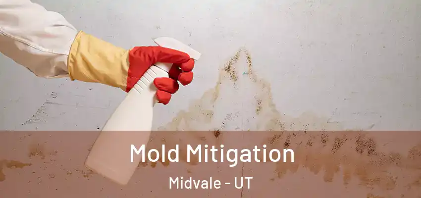 Mold Mitigation Midvale - UT