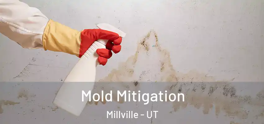  Mold Mitigation Millville - UT