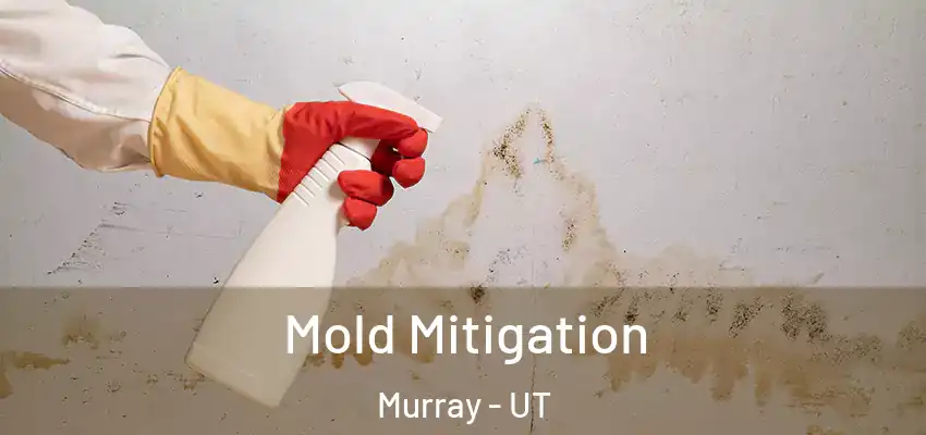 Mold Mitigation Murray - UT