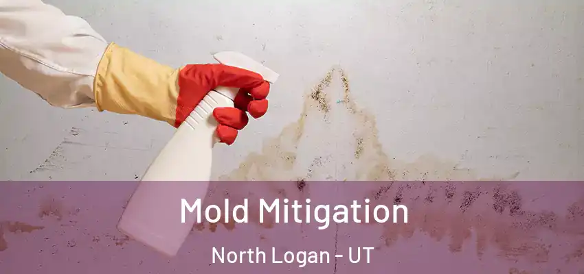  Mold Mitigation North Logan - UT