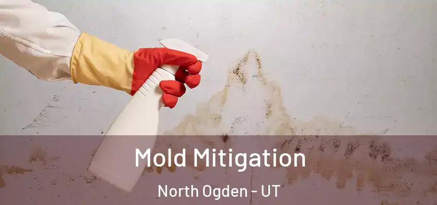  Mold Mitigation North Ogden - UT