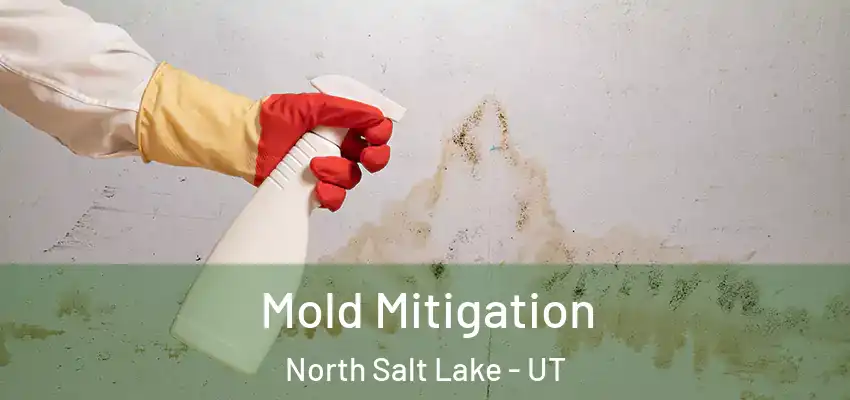  Mold Mitigation North Salt Lake - UT