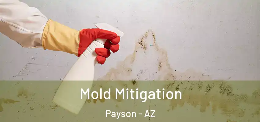 Mold Mitigation Payson - AZ