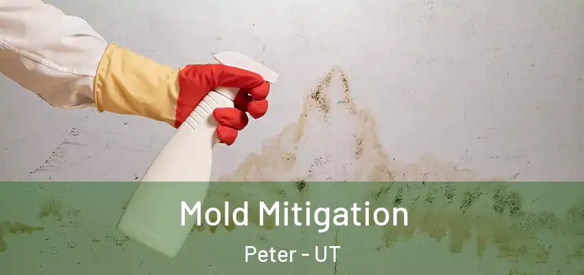  Mold Mitigation Peter - UT