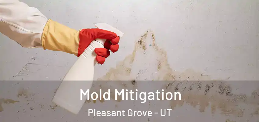 Mold Mitigation Pleasant Grove - UT