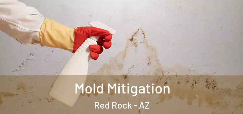 Mold Mitigation Red Rock - AZ