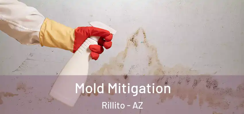 Mold Mitigation Rillito - AZ