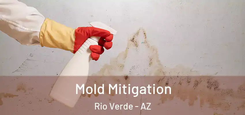 Mold Mitigation Rio Verde - AZ