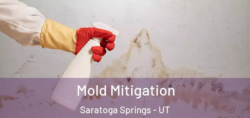 Mold Mitigation Saratoga Springs - UT