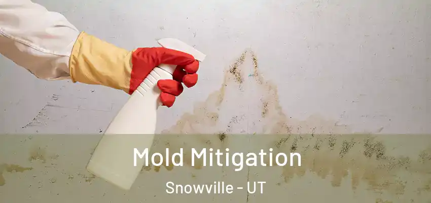  Mold Mitigation Snowville - UT
