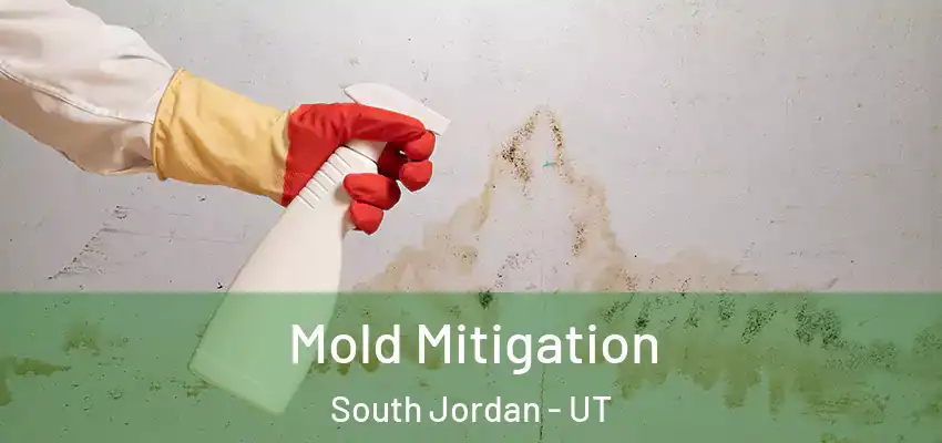 Mold Mitigation South Jordan - UT
