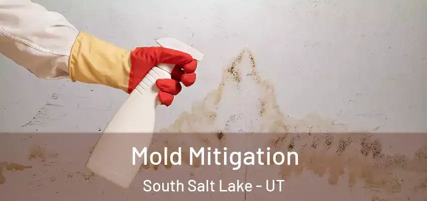  Mold Mitigation South Salt Lake - UT