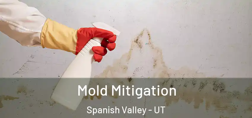Mold Mitigation Spanish Valley - UT
