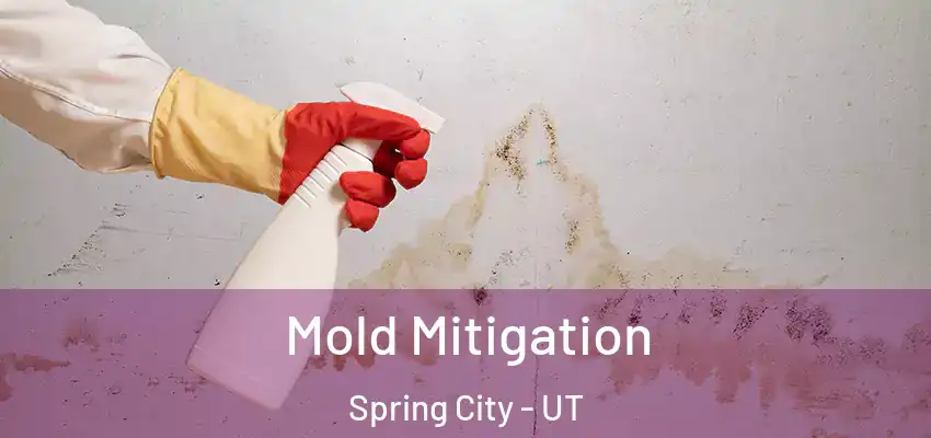 Mold Mitigation Spring City - UT