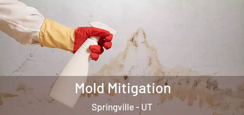 Mold Mitigation Springville - UT