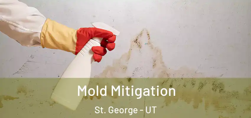  Mold Mitigation St. George - UT