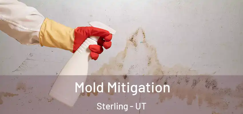 Mold Mitigation Sterling - UT