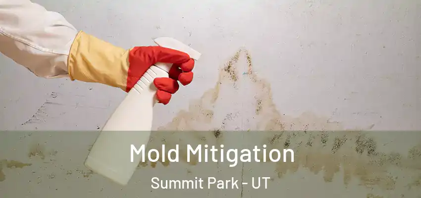 Mold Mitigation Summit Park - UT