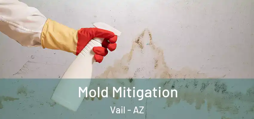 Mold Mitigation Vail - AZ