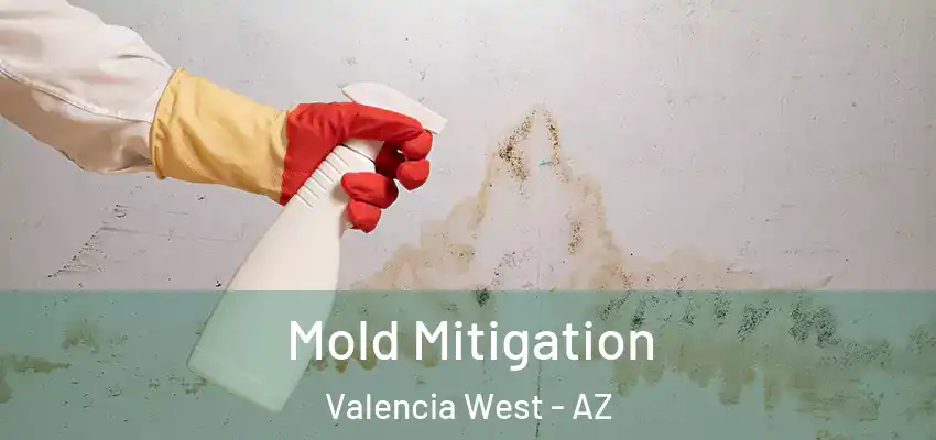 Mold Mitigation Valencia West - AZ