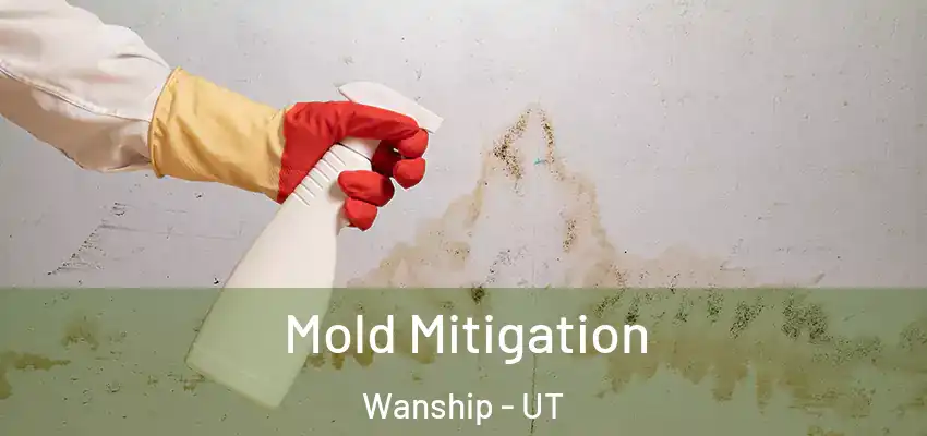 Mold Mitigation Wanship - UT