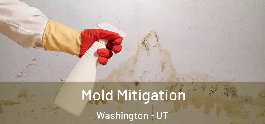 Mold Mitigation Washington - UT