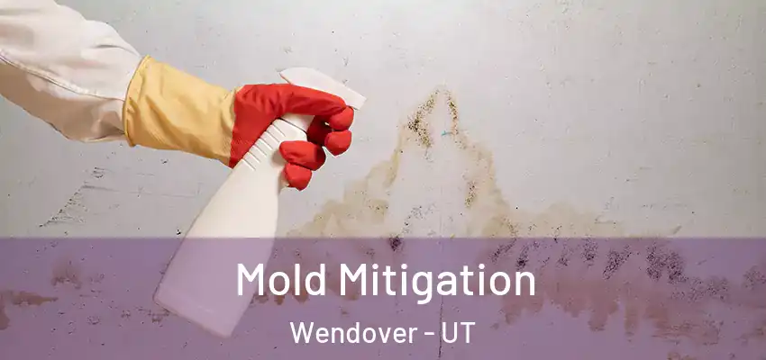 Mold Mitigation Wendover - UT
