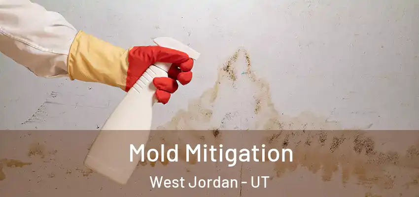 Mold Mitigation West Jordan - UT