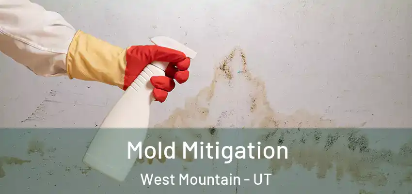  Mold Mitigation West Mountain - UT