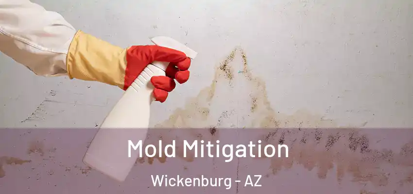  Mold Mitigation Wickenburg - AZ