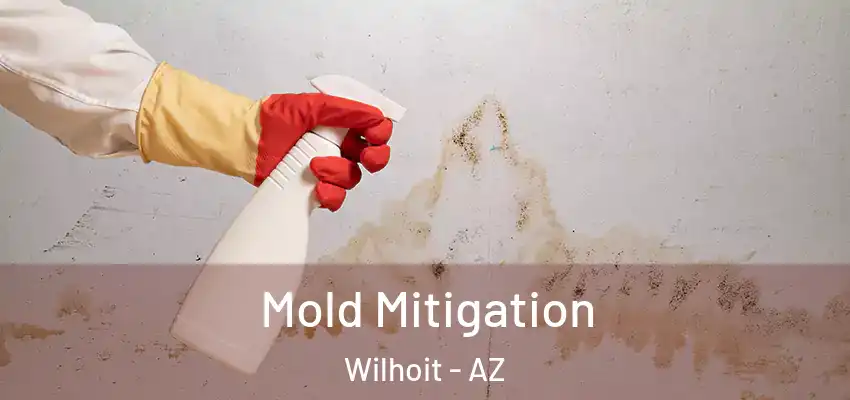 Mold Mitigation Wilhoit - AZ