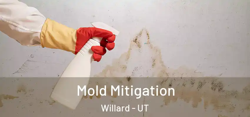  Mold Mitigation Willard - UT