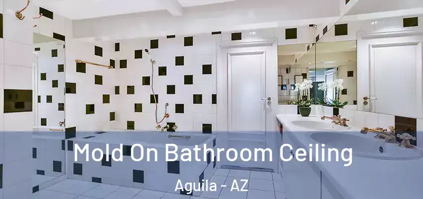  Mold On Bathroom Ceiling Aguila - AZ