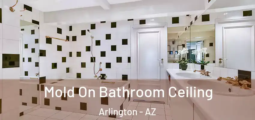  Mold On Bathroom Ceiling Arlington - AZ