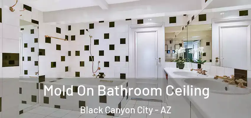  Mold On Bathroom Ceiling Black Canyon City - AZ