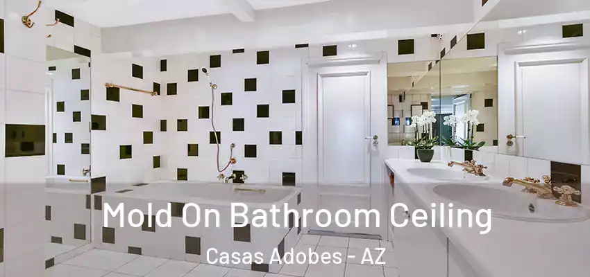  Mold On Bathroom Ceiling Casas Adobes - AZ