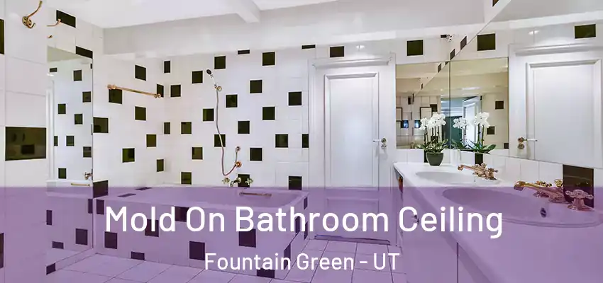  Mold On Bathroom Ceiling Fountain Green - UT