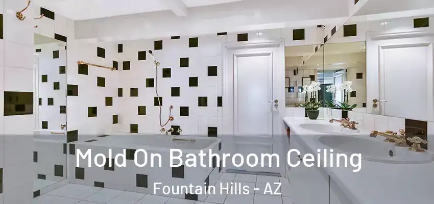  Mold On Bathroom Ceiling Fountain Hills - AZ