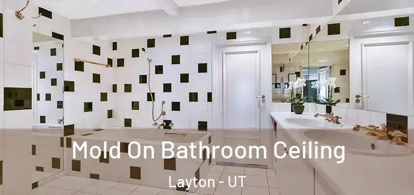  Mold On Bathroom Ceiling Layton - UT