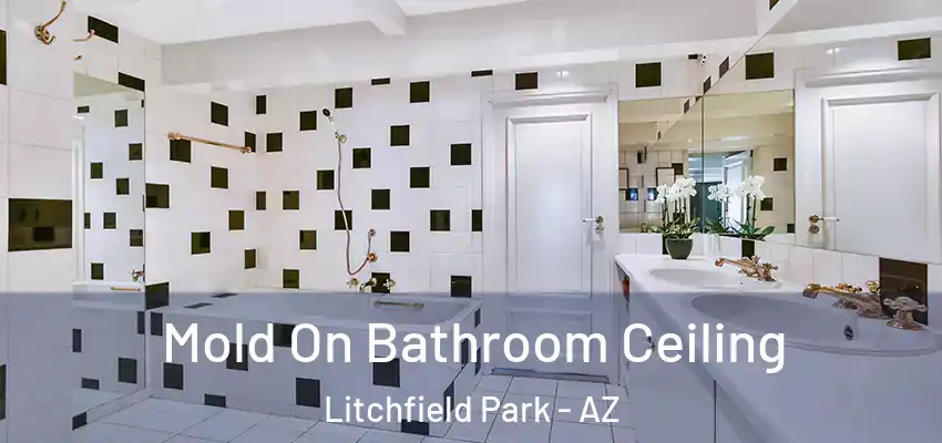  Mold On Bathroom Ceiling Litchfield Park - AZ