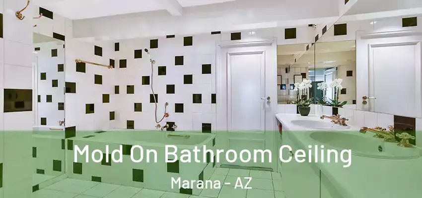 Mold On Bathroom Ceiling Marana - AZ